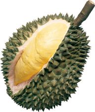 durian_02_b.jpg